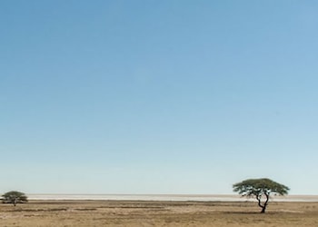 Parque Nacional Etosha