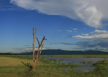 Parco nazionale del lago Manyara