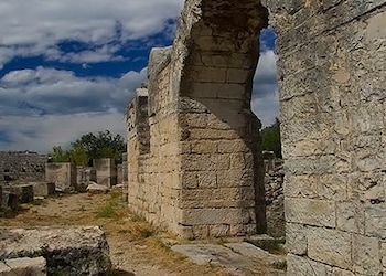 Salona
