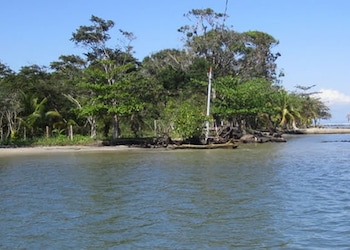 Livingston