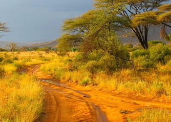 Samburu