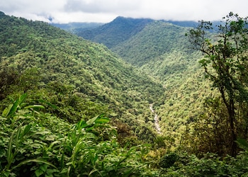 Guápiles