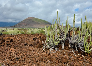 Güímar