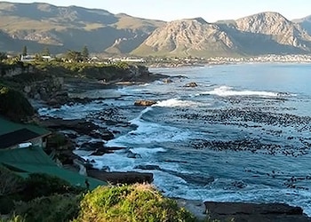 Hermanus