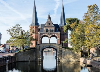 Sneek