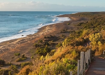 Peninsula Valdes - Di Chubut