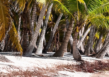 La Romana - Bayahibe