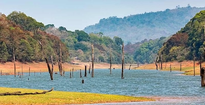 Sud dell'India con il Lago Periyar Sud dell'India con il Lago Periyar