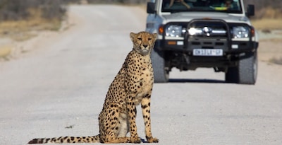 Percorso dal Parco Nazionale d'Etosha al Deserto del Namib Percorso dal Parco Nazionale d'Etosha al Deserto del Namib