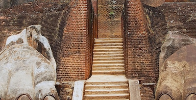 Da Colombo a Sigiriya con Yala e Nuwara Eliya Da Colombo a Sigiriya con Yala e Nuwara Eliya