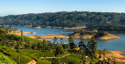 Da Colombo a Sigiriya con Yala, Nuwara Eliya e Maldive Da Colombo a Sigiriya con Yala, Nuwara Eliya e Maldive