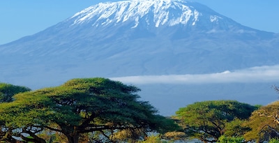 Masai Mara, Naivasha e Amboseli con Zanzibar Masai Mara, Naivasha e Amboseli con Zanzibar