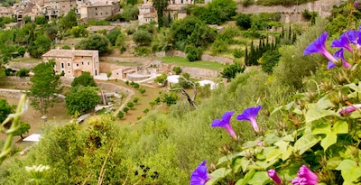 Percorso alla scoperta delle Città da sogno Percorso alla scoperta delle Città da sogno
