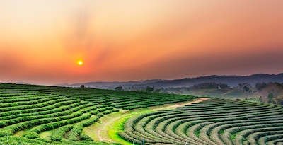 Bangkok, Chiang Rai, Chiang Mai e Maldive Bangkok, Chiang Rai, Chiang Mai e Maldive
