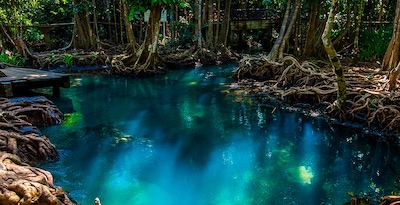 Da Bangkok al Nord della Thailandia e Krabi Da Bangkok al Nord della Thailandia e Krabi