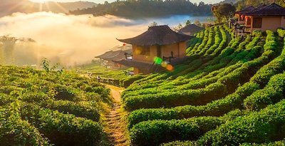 Nord della Thailandia con Mae Hong Son e Maldive Nord della Thailandia con Mae Hong Son e Maldive