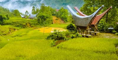 Sulawesi e Bali Sulawesi e Bali