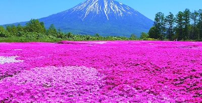 Percorso alla scoperta di Hokkaido e Tokio Percorso alla scoperta di Hokkaido e Tokio
