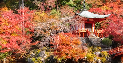 Tokyo, Takayama, Kyoto e Osaka Tokyo, Takayama, Kyoto e Osaka