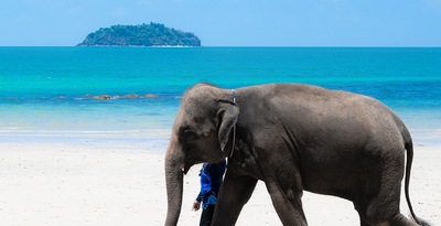 Bangkok, Chiang Mai e Koh Chang Bangkok, Chiang Mai e Koh Chang