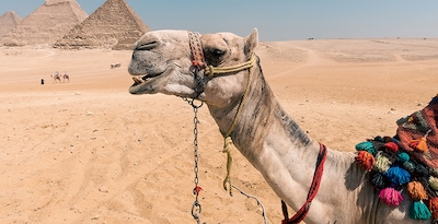 Il Cairo, crociera di 3 notti e Hurghada Il Cairo, crociera di 3 notti e Hurghada