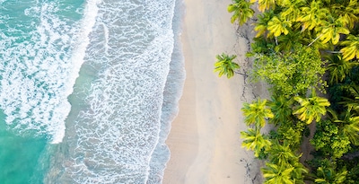 New York, Cascate del Niagara, Toronto, New Jersey, Washington e Punta Cana New York, Cascate del Niagara, Toronto, New Jersey, Washington e Punta Cana