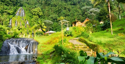 Pereira