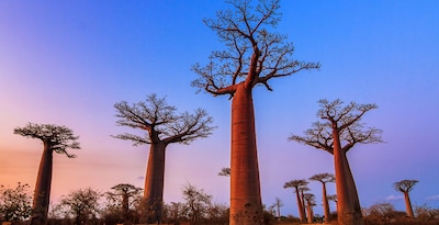 Antananarivo