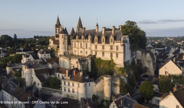 Paesaggio Culturale Patrimonio dell'Unesco Loches: Cittadella reale