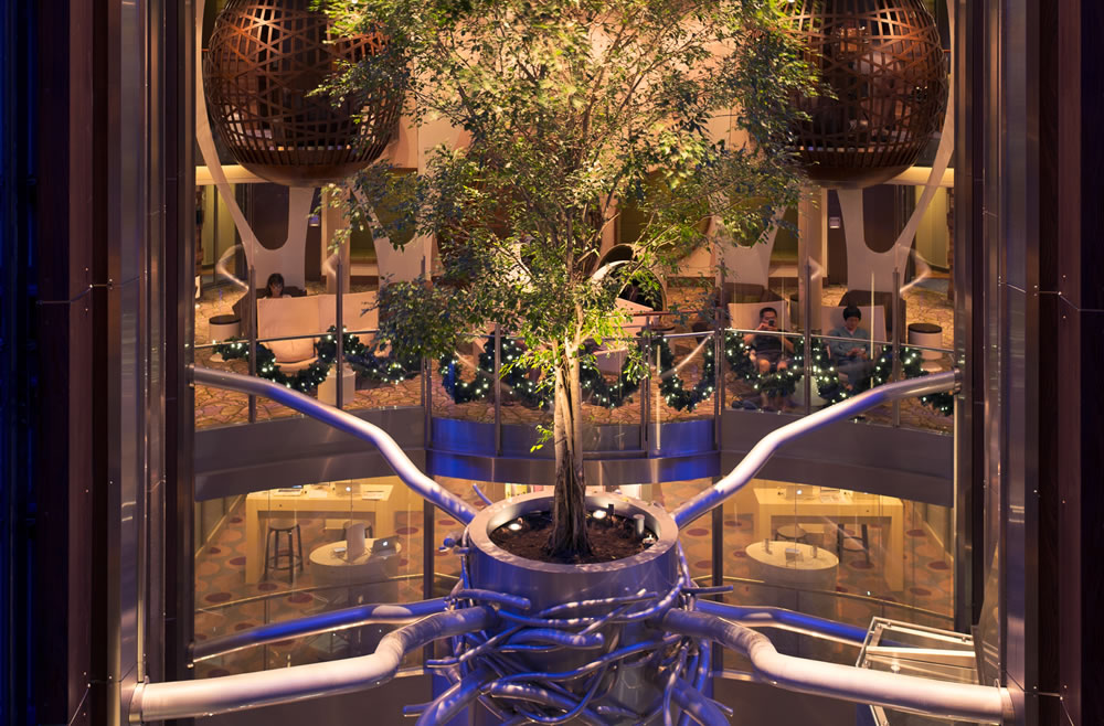 Foto Celebrity Reflection25