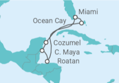 Itinerario della crociera Miami,Isla de Roatan,Costa Maya,Cozumel,Ocean Cay,Miami - TI - MSC Crociere