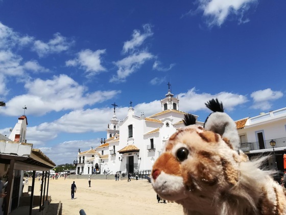 Gallery - Gran Hotel Del Coto