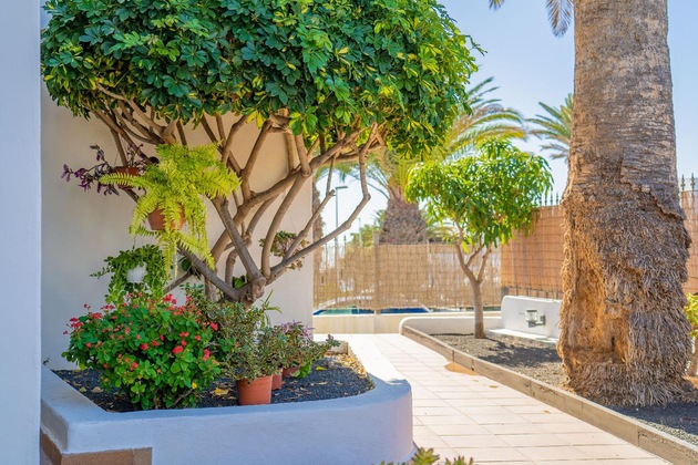 Gallery - Apartamentos Isla De Lobos