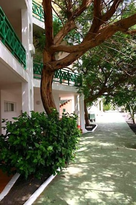 Gallery - Apartamentos Hsa Ficus