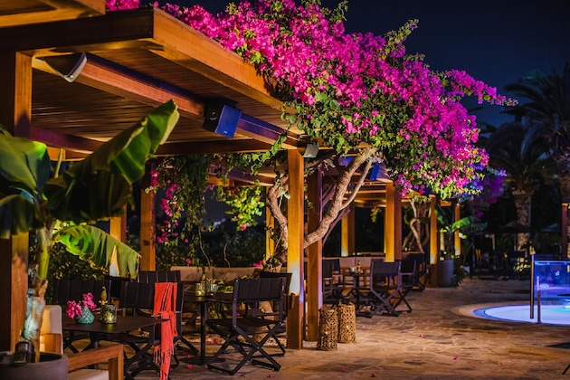 Gallery - Alion Beach Hotel
