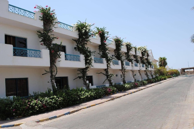 Gallery - Sharm Cliff Resort