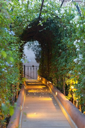 Gallery - Les Jardins De La Koutoubia