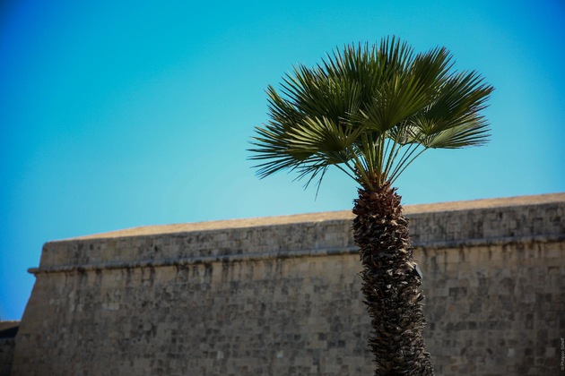 Gallery - The Phoenicia Malta