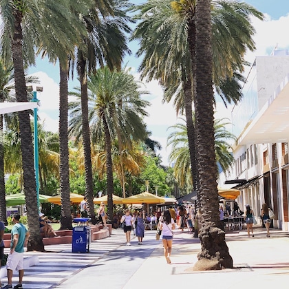 Gallery - Kimpton Surfcomber Hotel, An Ihg Hotel