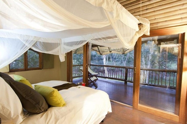 Gallery - Ubizane Wildlife Reserve