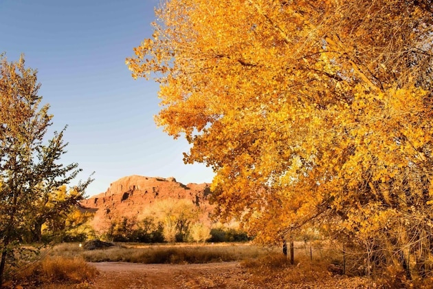 Gallery - Wolfe's Hotel Moab
