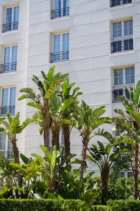 Gallery - Four Seasons Hotel Buenos Aires