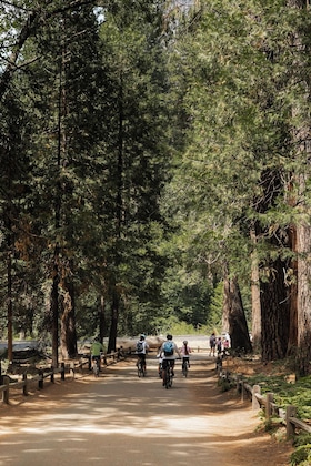 Gallery - Tenaya Lodge At Yosemite