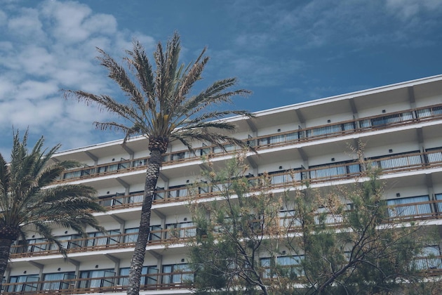 Gallery - AYA Seahotel