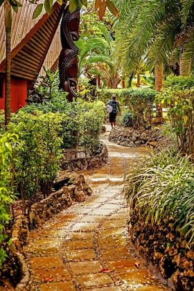 Gallery - Sunset Bungalows