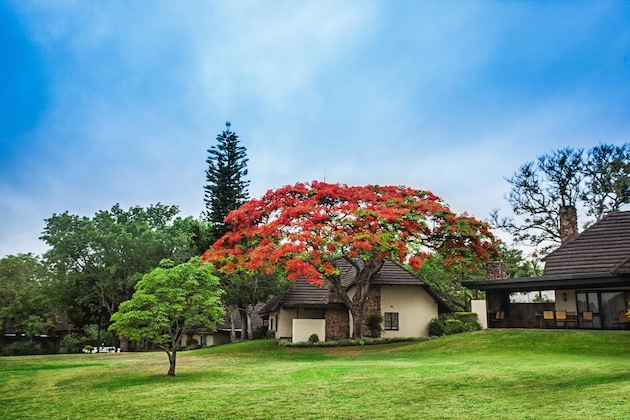 Gallery - Sabi River Sun Resort