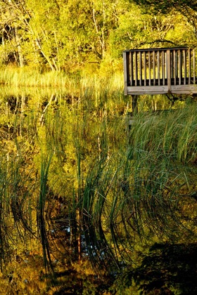 Gallery - Loch Kinord Hotel