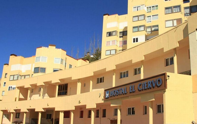 Gallery - Hostal El Ciervo