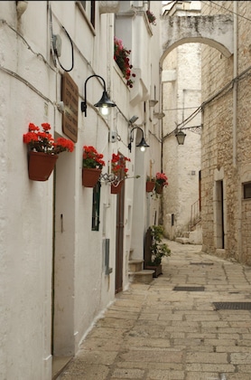 Gallery - Masseria Il Frantoio