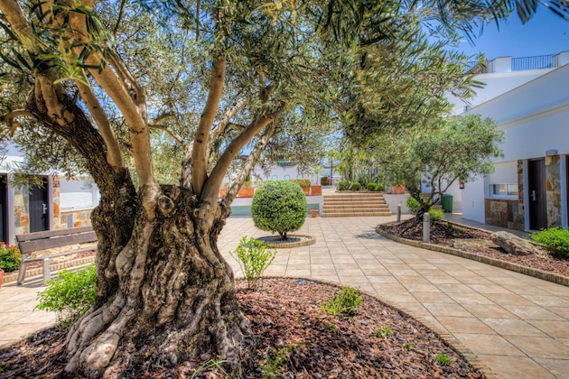 Gallery - Piedramar